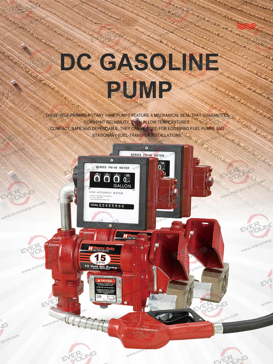 Gasoline Transfer Pump Set with 75L/Min (20GPM) Explosion-Proof Motor Fuel Pump with Meter Fuel Transfer